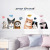 Wall Paste Manufacturers Wholesale New adorable Cat Series decorative living rooms can remove decorative Wall paste