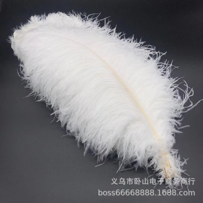 Factory Direct Sales Natural Feather Stage Props Ostrich Feather 60-65cm Ostrich Feather