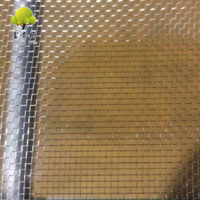 Direct Factory Galvanized Window Screening 18*18 Mesh 0.2mm Iron Wire Screening Anti-insect Netting