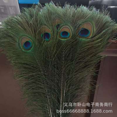 Factory Direct Natural Peacock Hair 90-100cm Spot