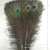 Spot Supply Peacock Feather 70-80 Peacock Feather Factory Direct Sales