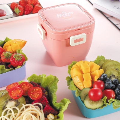 J35-2517 Japanese-Style Handheld Double Deck Lunch Box Tableware Partitioned Microwave Fresh-Keeping Food Box Student Sealed Lunch Box