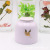 Creative Handmade Ceramic Pot Best Friend Tea Fragrance Pure Plant Soy Wax Bedroom Fragrance Fresh Air Tea Gift Gift
