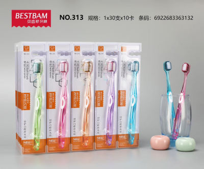 {Toothbrush Wholesale} Shell Tooth Holder 30 Adult Toothbrushes
