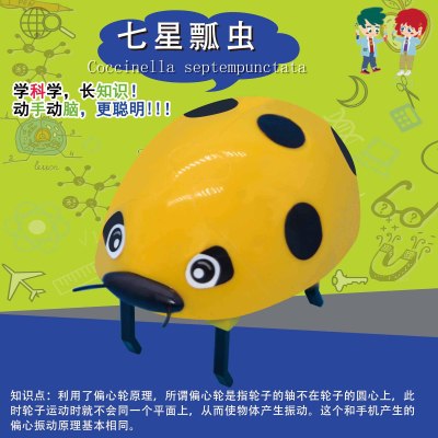 Seven Star Ladybug STEM Science Experiment set DIY circuit bionic model eccentric principle technology small production