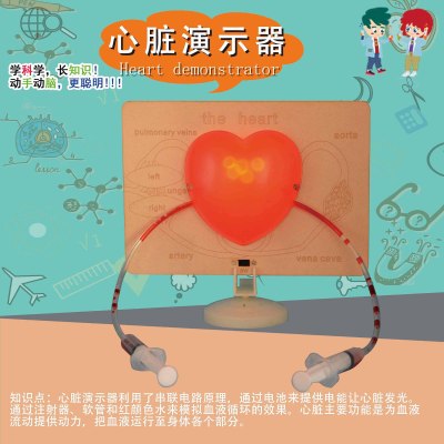 Elementary school science love intelligent heart demonstrator STEM science laboratory DIY circuit simulation heart small