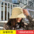 Short brimmed fisherman Hat female Version of Autumn and winter sun sun hat day is simple basin hat male summer sun hat