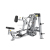 Military lever tricep trainer gym dedicated