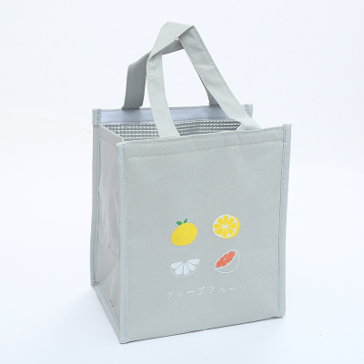 New Fashion Simple Large Capacity Fresh Fruit Colorful Picnic Insulated Bag Waterproof Lunch Bag Lunch Box Bag