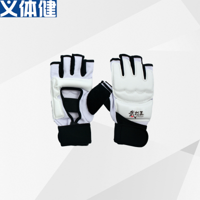 Taekwondo glove foot protector