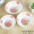 Jie Li Melamine Tableware Honor Produced Multi-Specification Color Printing Pattern Melamine Tableware Imitation Porcelain Large Noodle Bowl