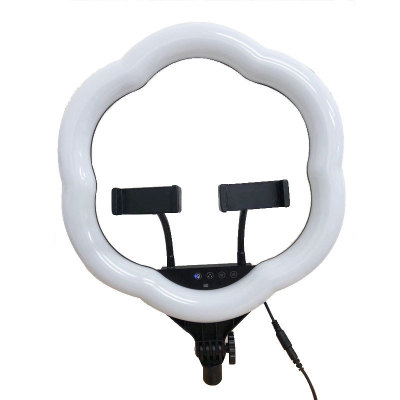 New supplementary light LC-368 supplementary light LED plum-shaped 14-inch Beauty supplementary light camera anchor live light