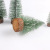 Mini Christmas tree small Christmas tree tops decorated with white cedar top Christmas tree