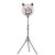 Web celebrity professional mobile phone live broadcast lamp 20 \\\"ring lamp