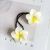 Flower hair clip, frangipani hair band, Beach holiday, Beach holiday, flower hair rope [15]