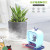 Air Mini Car Humidifier Small New Homehold Atomizer Cute Pet Water Replenishing Instrument Spray USB Humidifier