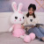 Tiktok Same Style Internet Celebrity Lovers Rabbit Plush Toy Software Rabbit Doll Children's Pillow Birthday Gift Wholesale