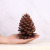 Manufacturers direct decoration decoration supplies photography props Christmas tree decorations American pine natural pine cones