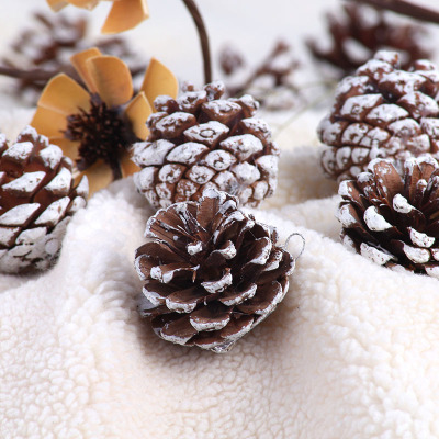 Christmas decorations with natural, real pinecones Christmas tree ornaments with white brim pinecones