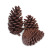 Large dried pine cones For Christmas decoration photography props Christmas tree decorations natural pine cones
