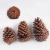Manufacturers direct decoration decoration supplies photography props Christmas tree decorations American pine natural pine cones