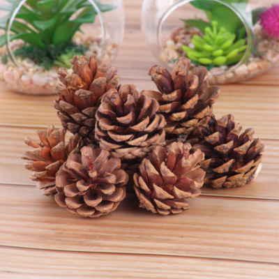 Natural pineapples Christmas decorations DIY DIY materials shooting props accessories natural pineapples