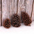 Large dried pine cones For Christmas decoration photography props Christmas tree decorations natural pine cones