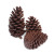 Manufacturers direct decoration decoration supplies photography props Christmas tree decorations American pine natural pine cones