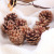 Natural pineapples Christmas decorations DIY DIY materials shooting props accessories natural pineapples