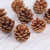 Natural pineapples Christmas decorations DIY DIY materials shooting props accessories natural pineapples