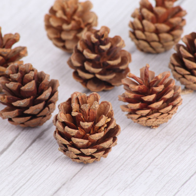 Natural pineapples Christmas decorations DIY DIY materials shooting props accessories natural pineapples