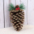 Christmas decorations a variety of powdered natural pine cone Christmas tree ornaments