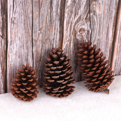 Manufacturers direct decoration decoration supplies photography props Christmas tree decorations American pine natural pine cones