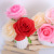 Factory Direct Sales Rose Perianth Artificial Rose Flower Wholesale DIY Silk Cloth Artificial Flower Wall Artificial Rose Flower