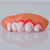 Takeaway Hot Sale Halloween Props Rotten Teeth Zombie Dentures Horror Teeth Props Whole Person Toys