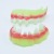 Cross-Border Hot Sale Halloween Costumes and Props Double-Layer Zombie Luminous Dentures Trick Vampire Dentures Tooth Socket