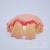 Foreign Trade Export Hot Selling Halloween Zombie Tooth Socket Set Simulation Dentures Trick Funny Teeth Teeth Dentures