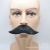Halloween Party Dress up Props Simulation Black Moustache Beard Handlebar Mustache Gentleman Pirate Film Beard