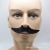 Halloween Party Dress up Props Simulation Black Moustache Beard Handlebar Mustache Gentleman Pirate Film Beard