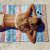 Factory Microfiber Double-Sided Digital Printing Quick-Drying Beach Towel Custom Widening Yoga Towel 70*150