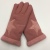 Factory directnew women with warm gloves with fleece and thickening, waterproof and windproof sports touch screen gloves