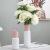 Ceramic Lipstick Vase Online Shop Red Douyin Ceramic Living Room Grow in Water Dried Flower Decoration Ceramic Vase