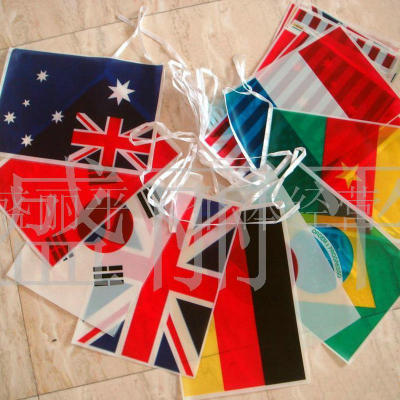 Export to South Korea PE Flag Colored Flag Plastic Colored Flag Banner Triangle Colored Flag Wan Flag with Must Wan Flag