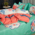 Stall Popular Ecological Brushed Four-Piece Set Thickened Large Flower Dove Cotton Four-Piece Set