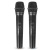Wireless Microphone Mobile Phone One-to-Two Live Broadcast Home Conference Audio TV Computer Sound Card Tube