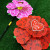 520 Valentine's Day Windmill Decoration Garden Environmental Protection Spring Plastic Colorful Multi-Color Windmill Factory Direct Sales