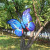 Butterfly Wings Single-Layer Automatic Wings Performance Angel Wings with Butterfly Wings with Music Angel Wings Night Market Stall