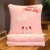 Autumn and Winter Cartoon Animal Blanket Pillow Three-in-One Car Blanket Office Nap Knee Blanket Can Be Stored