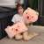 Plush Toy Bubble Pig Pillow Doll Hug Pig Pillow Doll Bubble Pig Hot Sale