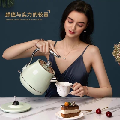 New Retro High-Looking Kettle Small Household Internet Celebrity European-Style Automatic Power-off Electric Kettle